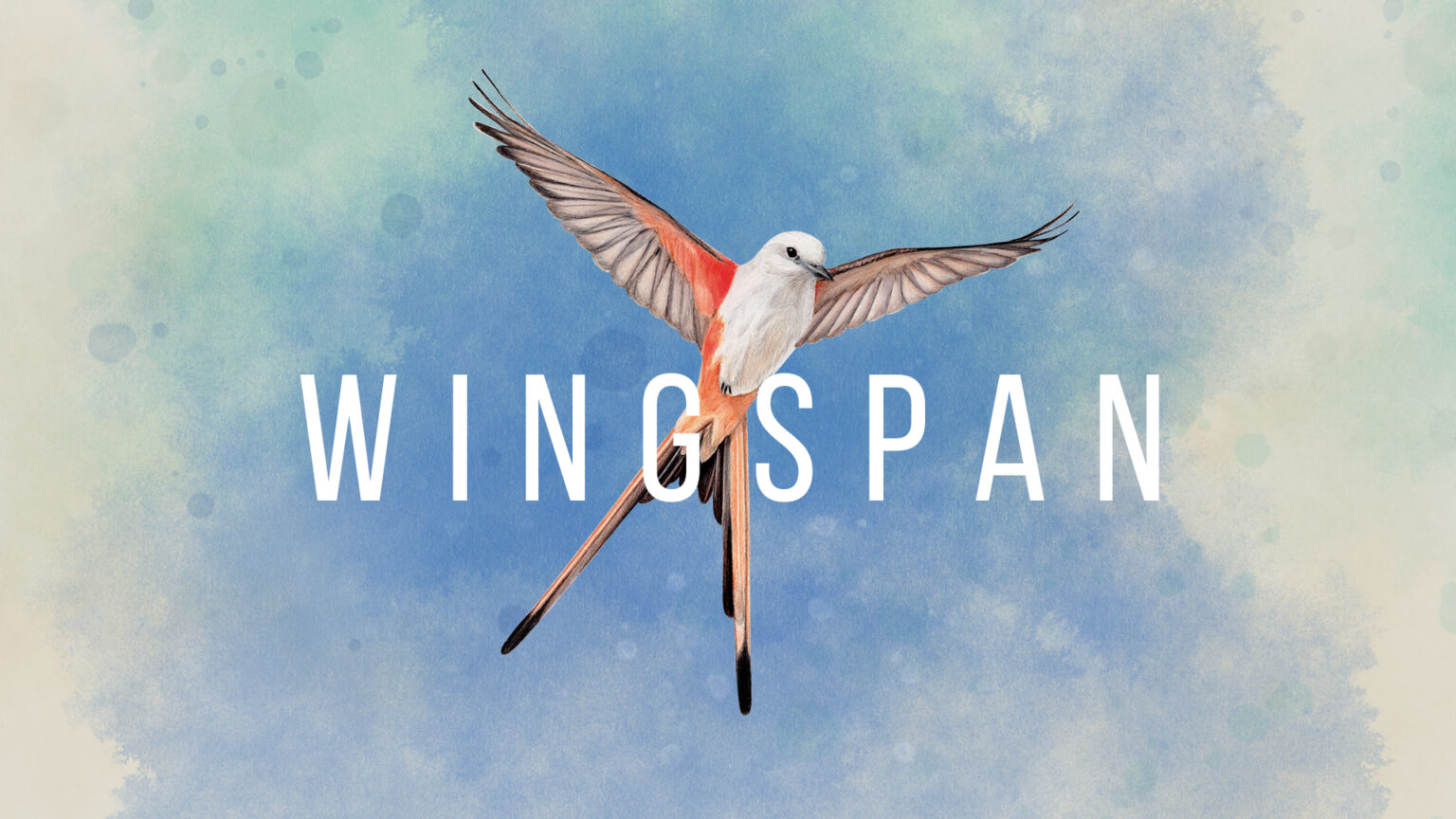 wingspan switch wingspan switch
